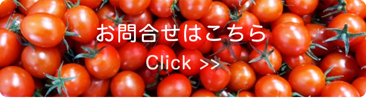 お問合せ・ご注文はこちら